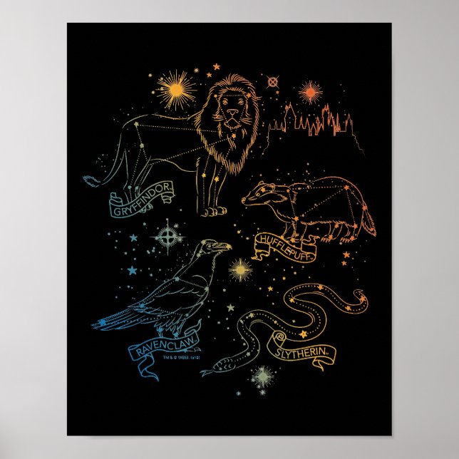 Rainbow HOGWARTS™ Houses Constellations Poster (Front)