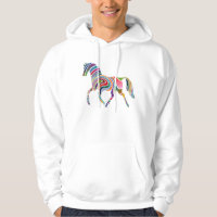 Rainbow horse