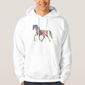 Rainbow horse hoodie