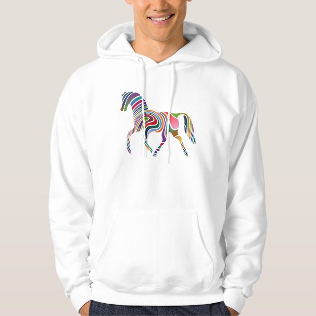 Rainbow horse hoodie (Front)