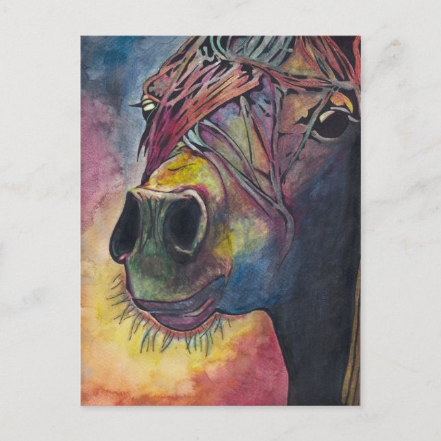 Rainbow horse postcard (Front)