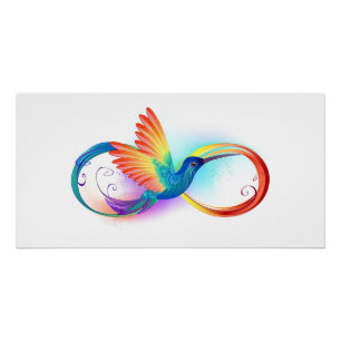 Rainbow Hummingbird with Infinity symbol Poster