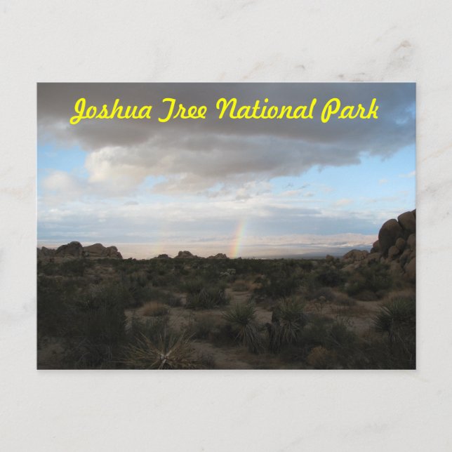 Rainbow in Joshua Tree Postcard (Front)