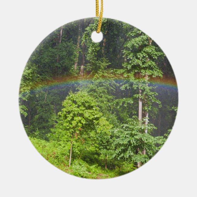 Rainbow in the Forest Ceramic Tree Decoration (Front)
