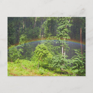 Rainbow in the Forest Postcard