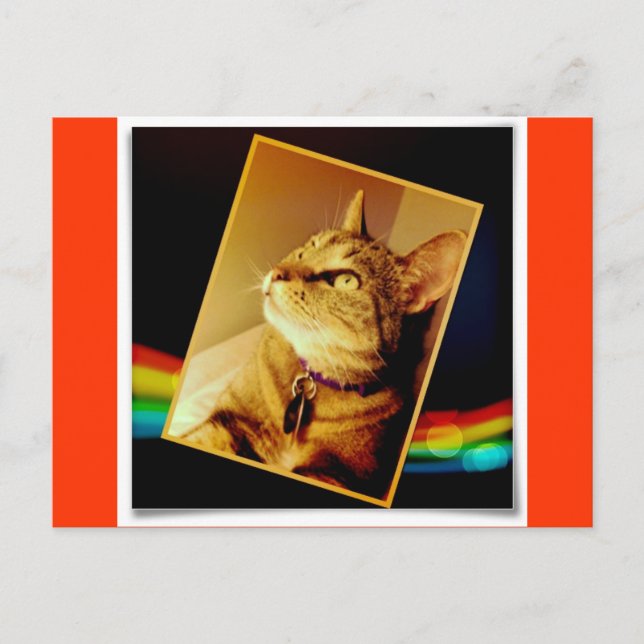 Rainbow Indigo Postcard (Front)