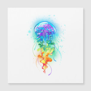 Rainbow jellyfish