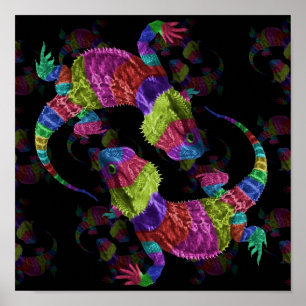 Rainbow Lizards Poster