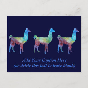 Rainbow Llamas Postcard
