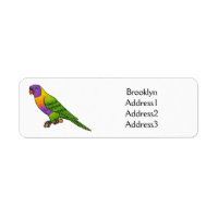 Rainbow lorikeet bird cartoon illustration