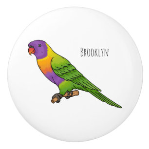 Rainbow lorikeet bird cartoon illustration ceramic knob