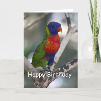 Rainbow Lorikeet Blank Birthday Card