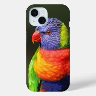 Rainbow Lorikeet iPhone 15 Case