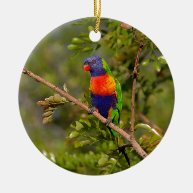 Rainbow lorikeet ceramic tree decoration (Front)