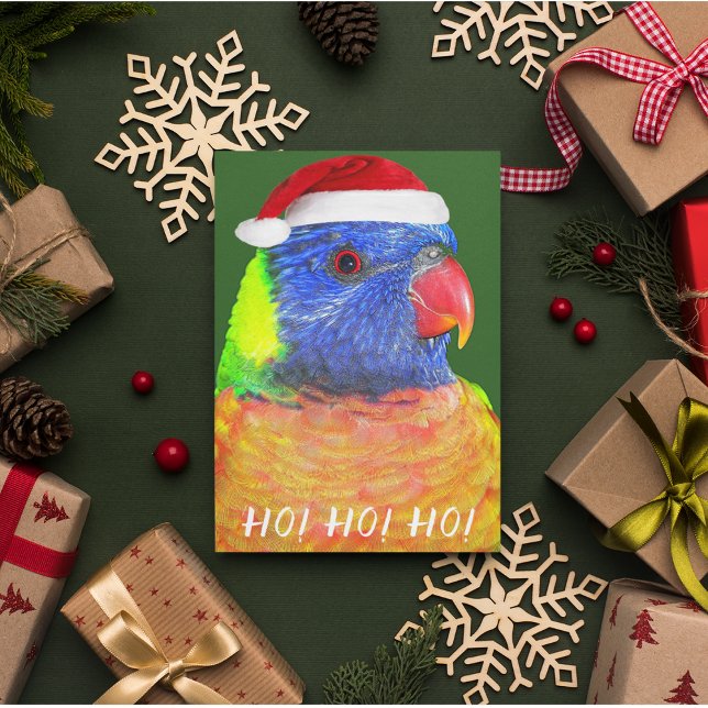 Rainbow Lorikeet in Santa Hat Aussie Holiday Card (In Situ)