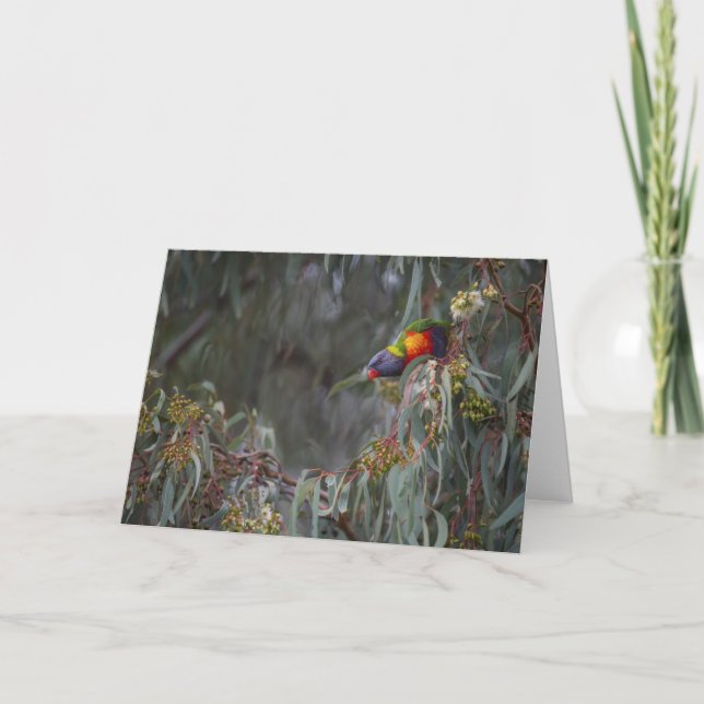 Rainbow Lorikeet in Trees blank greeting card (Front)