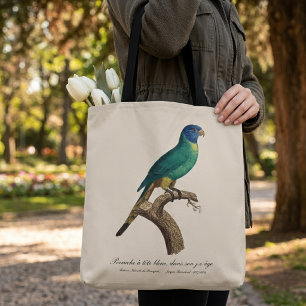 Rainbow lorikeet juvenile Trichoglossus moluccanus Tote Bag