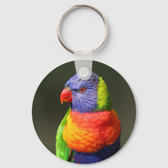 Rainbow Lorikeet Key Ring (Front)