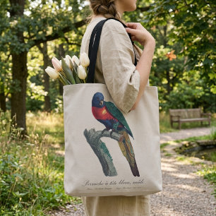Rainbow Lorikeet Male, Trichoglossus Moluccanus Tote Bag
