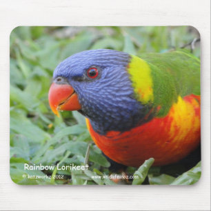 Rainbow Lorikeet Mouse Pad