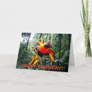 Rainbow lorikeet parrot customisable birthday card