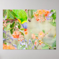 Rainbow Lorikeet Poster