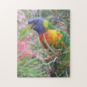 Rainbow Lorikeet Puzzle