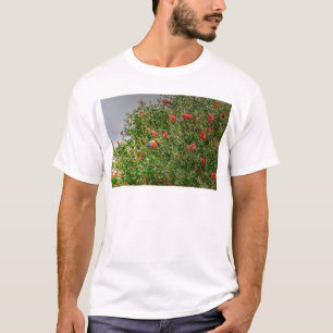 RAINBOW LORIKEET RURAL QUEENSLAND AUSTRALIA T-Shirt