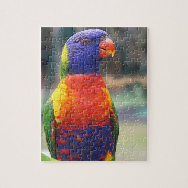 Rainbow Lorikeet (Trichoglossus haematodus 2 Jigsaw Puzzle (Vertical)