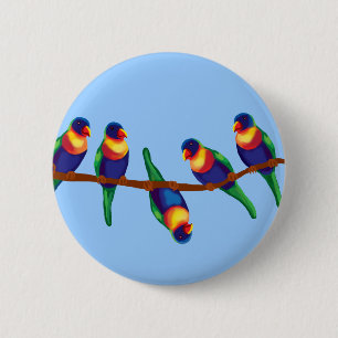 Rainbow lorikeets 6 cm round badge