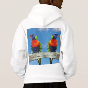 Rainbow lorikeets two perched on a branch