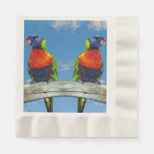 Rainbow lorikeets two perched on a branch napkin