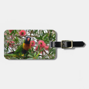 RAINBOW LORIKETT IN TREE QUEENSLAND AUSTRALIA LUGGAGE TAG