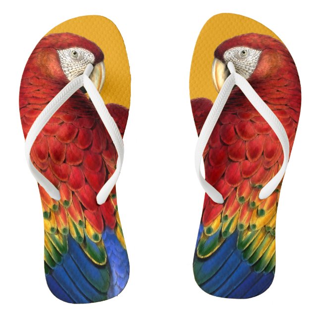 Rainbow Macaw Parrot Lover Bold and Summery Jandals (Footbed)