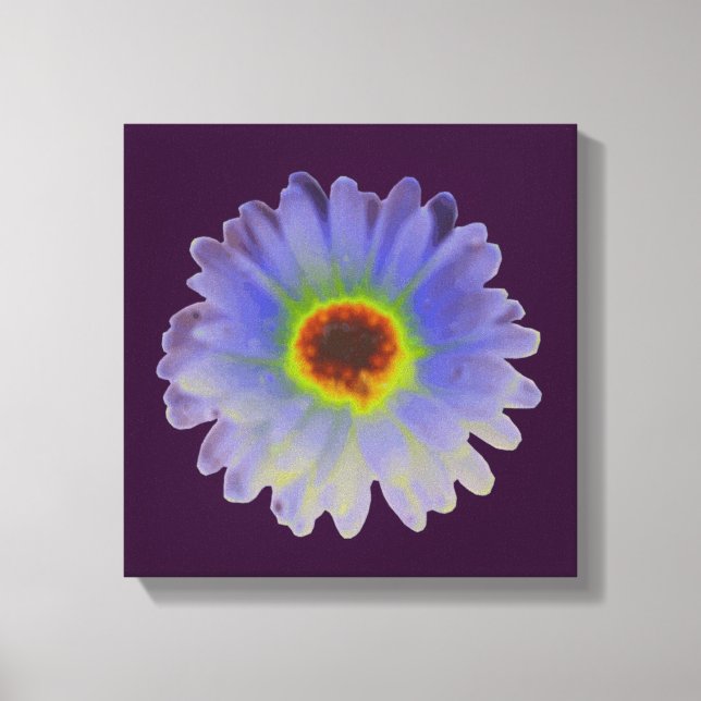 Rainbow Marigold Canvas Print (Front)
