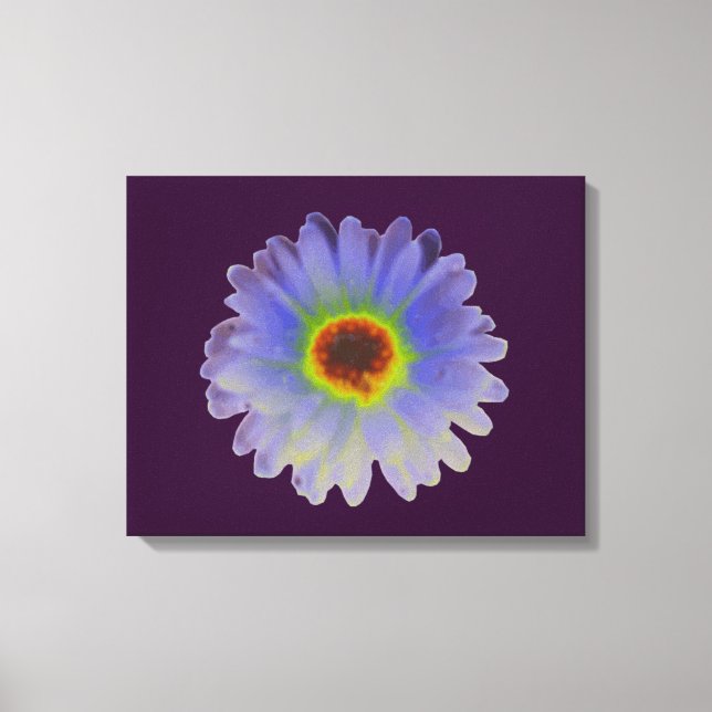 Rainbow Marigold Canvas Print (Front)