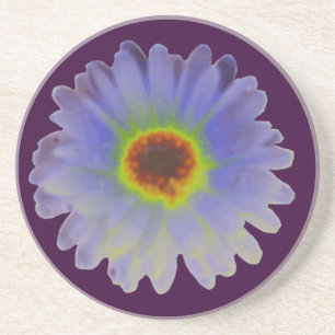 Rainbow Marigold Coasters