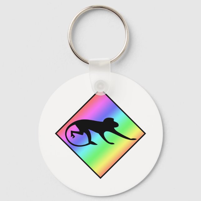 Rainbow Monkey Crossing Key Ring (Front)