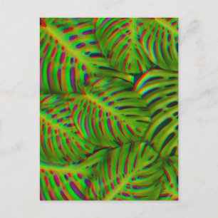 Rainbow Monstera Leaves Postcard