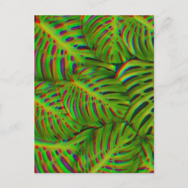 Rainbow Monstera Leaves  Postcard (Front)