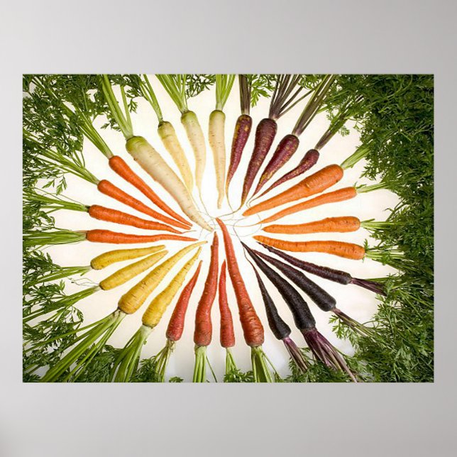 Rainbow Multicolored Carrots Rectangle Poster (Front)