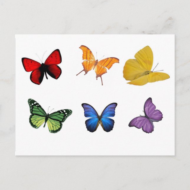 Rainbow of Butterflies Postcard (Front)