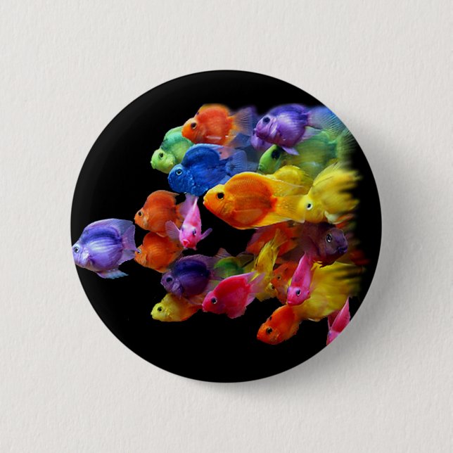 Rainbow of Parrotfish 6 Cm Round Badge (Front)