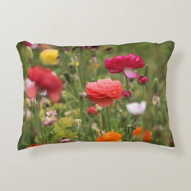 Rainbow of Ranunculus Decorative Cushion (Front)