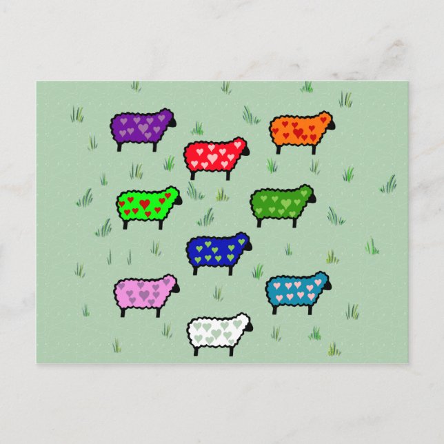 Rainbow Of Sheep Postcard (Front)