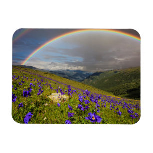 Rainbow Over A Flowering Meadow Magnet