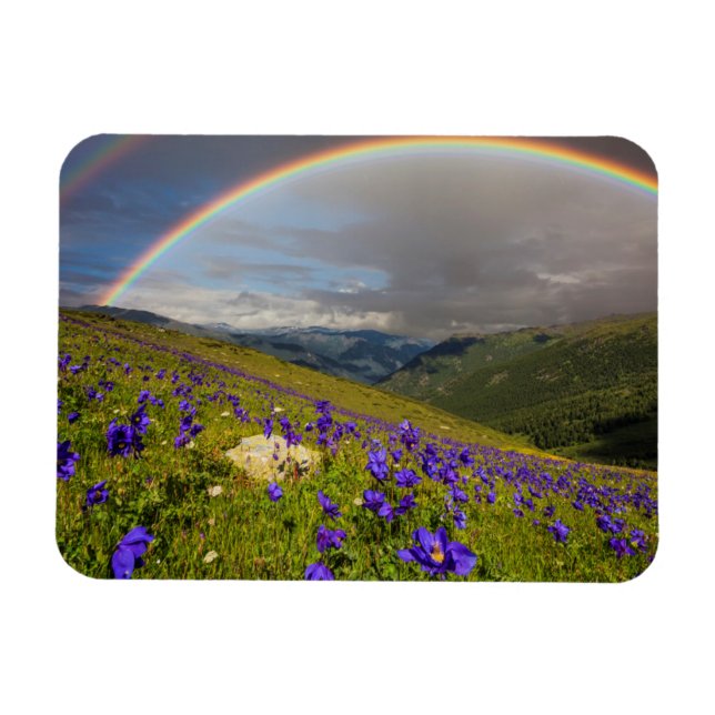 Rainbow Over A Flowering Meadow Magnet (Horizontal)