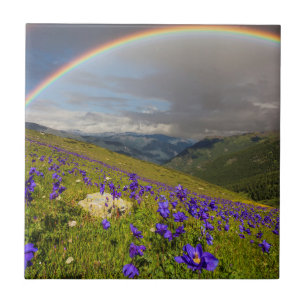 Rainbow Over A Flowering Meadow Tile