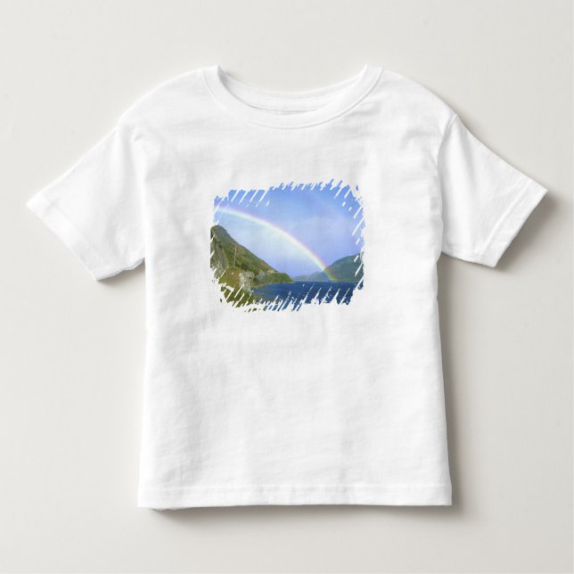 Rainbow over Hawea Lake, South Island, New Toddler T-Shirt (Front)
