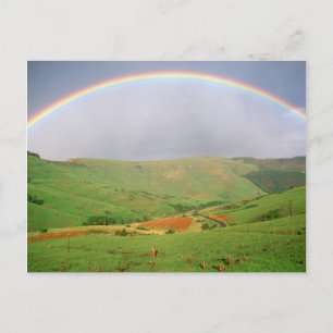 Rainbow Over Hills, Eastern Cape, South Africa Postcard
